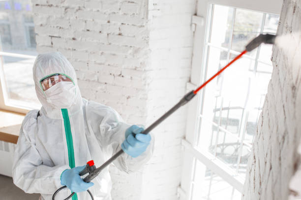 Professional Mold Removal in Monticello, MS